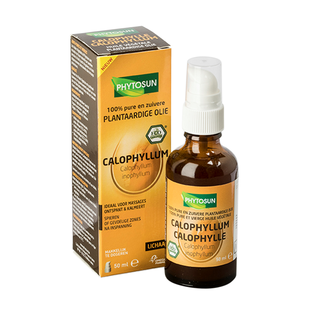 Calophyllum