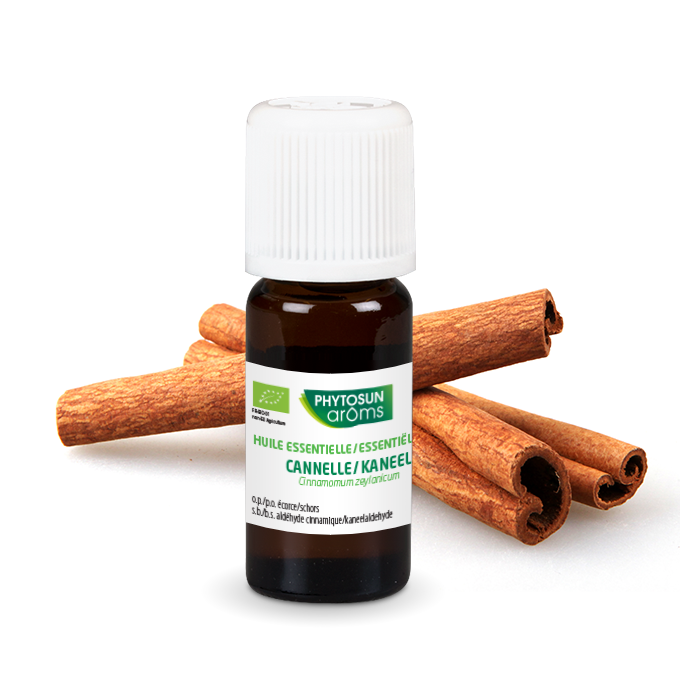 Cannelle de Ceylan, écorce (Cinnamomum verum) huile essentielle