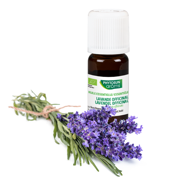 Lavande Officinale (Lavande vraie/fine)